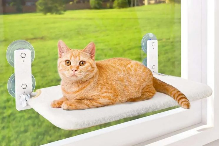 Foldable Cat Window Padded Perch