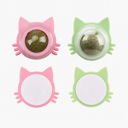 Catnip Wall Treat Ball for Cats – Lick Toy, Pack of 2 | BagnShop