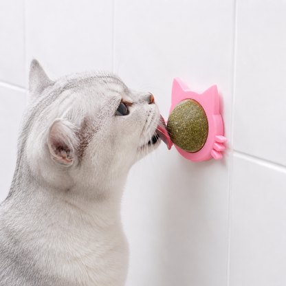 Catnip Wall Treat Ball for Cats – Lick Toy, Pack of 2 | BagnShop