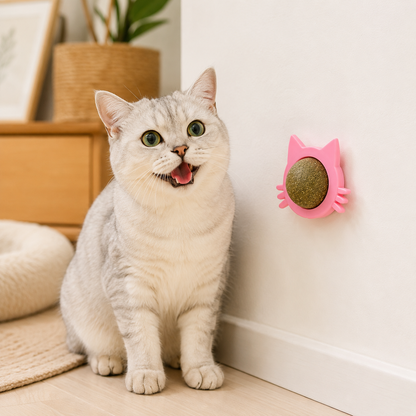 Catnip Wall Treat Ball for Cats – Lick Toy, Pack of 2 | BagnShop