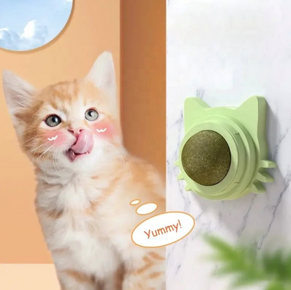 BagnShop catnip treat balls pack of 2 on package with adhesive mount