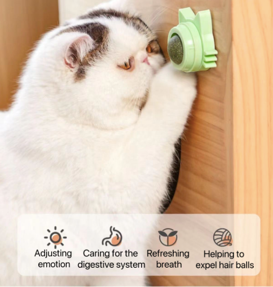 BagnShop catnip treat ball being used by orange tabby cat