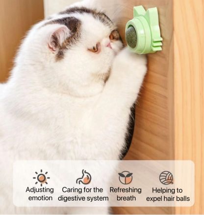 BagnShop catnip treat ball being used by orange tabby cat